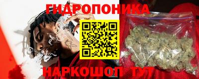 МДПВ Гагарин