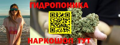 ALPHA PVP Гай