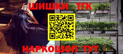 прущие крисы Гатчина