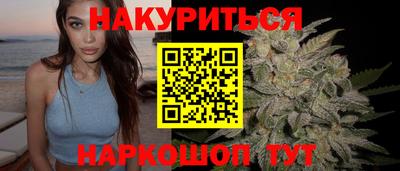 прущие крисы Гатчина