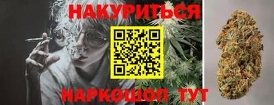 ALPHA PVP Гай