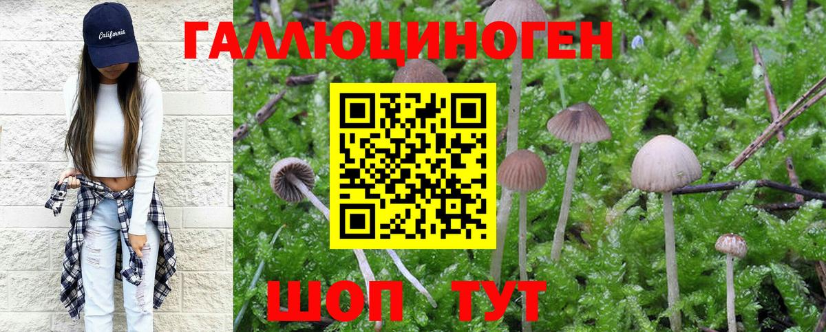 Семёнов  Галлюциногенные грибы Magic Shrooms  наркотики  Псилоцибиновые грибы Psilocybine cubensis  Вход с VPN 